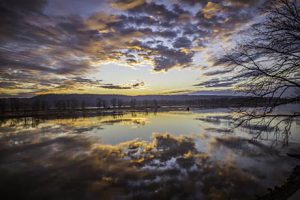 Morning Glory by Dubuque Camera Club member Becky Mather